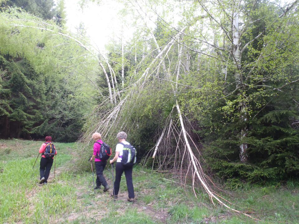 20140427 V.Tinje-Trije kralji-Sv.Urh - foto povečava