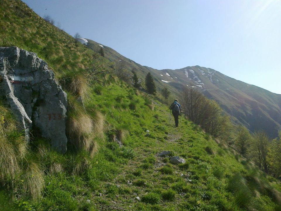 Pot po mulatjeri in razgled na Vrh Planje