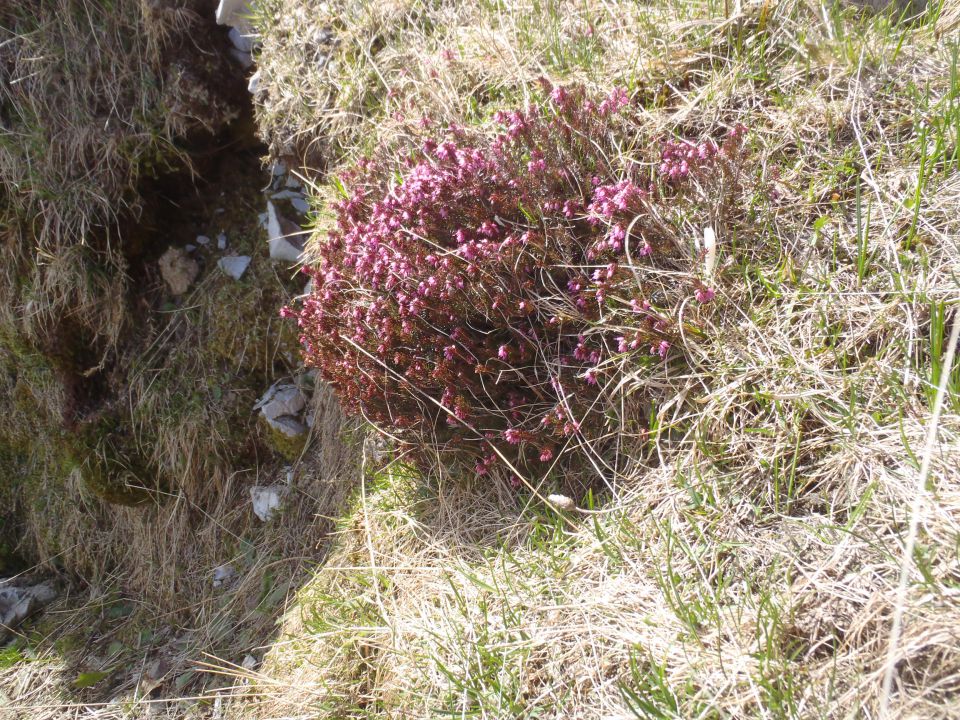 20140504 Dravh,Lajnar,Slatnik,Možic - foto povečava