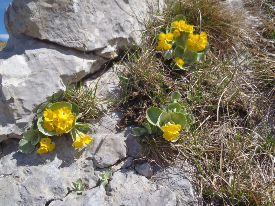 20140504 Dravh,Lajnar,Slatnik,Možic - foto povečava