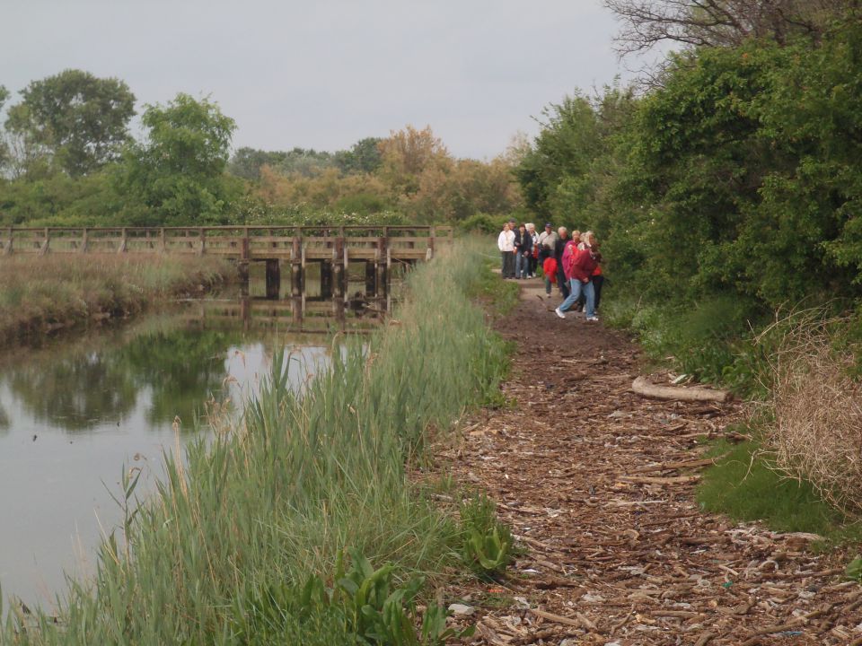 20140501-03 Po Kraških jamah,morju,Kokoši - foto povečava