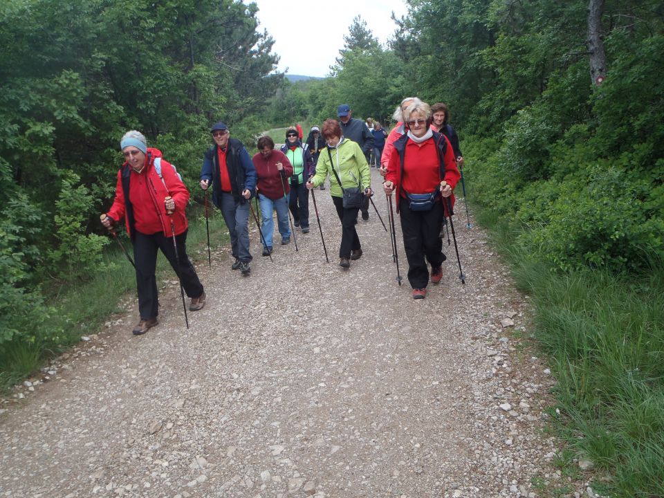 20140501-03 Po Kraških jamah,morju,Kokoši - foto povečava