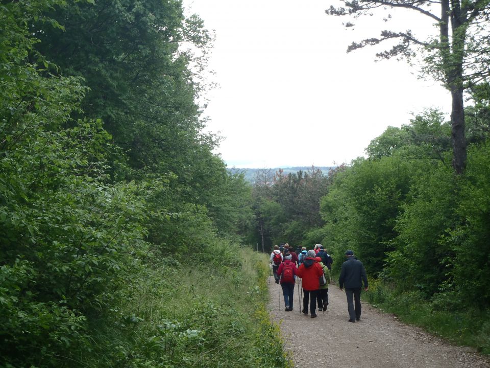 20140501-03 Po Kraških jamah,morju,Kokoši - foto povečava