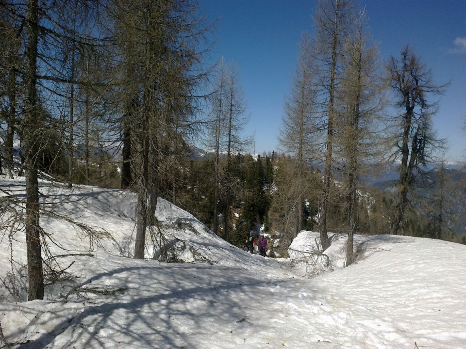 Pot proti Svetim Višarjem