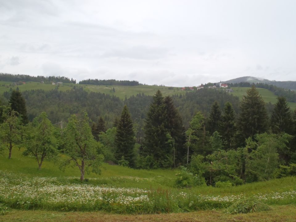 20140518 Sovodenj-Bevkov vrh-Ermanovec - foto povečava
