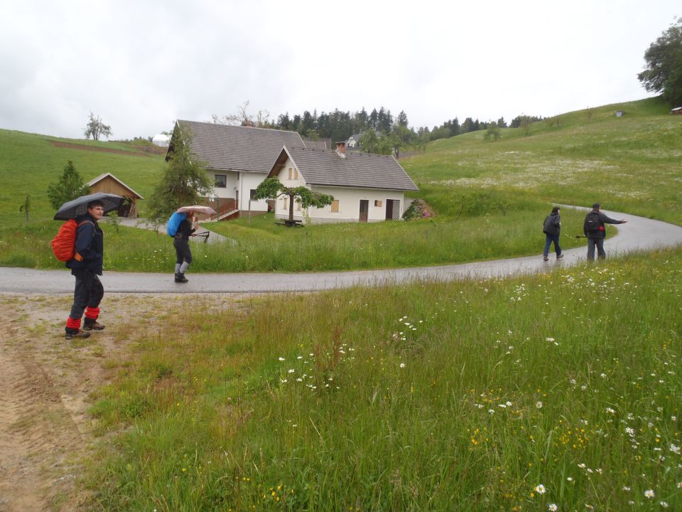 20140518 Sovodenj-Bevkov vrh-Ermanovec - foto povečava