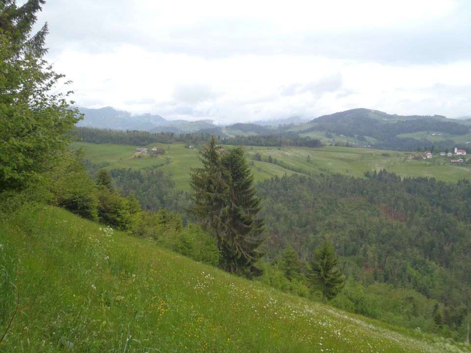 20140518 Sovodenj-Bevkov vrh-Ermanovec - foto povečava