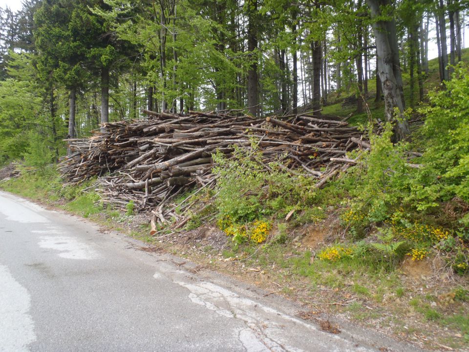 20140518 Sovodenj-Bevkov vrh-Ermanovec - foto povečava