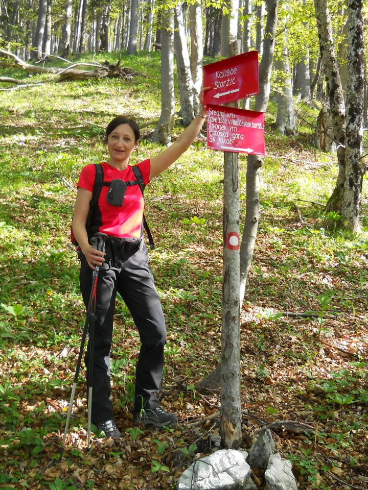 20140520 Storžič (2132m) - foto povečava