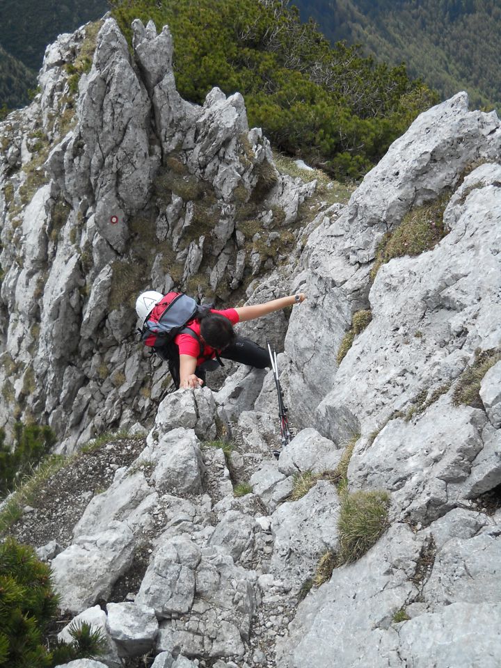 20140520 Storžič (2132m) - foto povečava