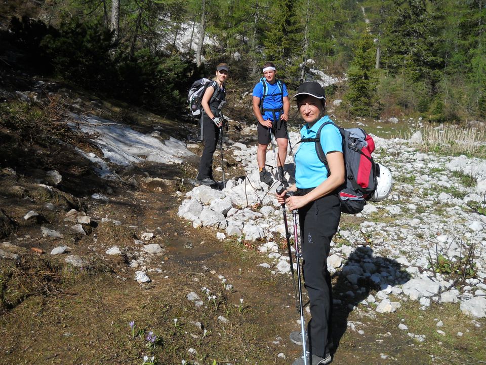 Nadaljnja pot od Doma na Zelenici v smeri Begunjščice