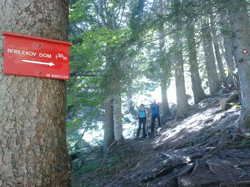 Pot proti Planini Preval čez Rožo