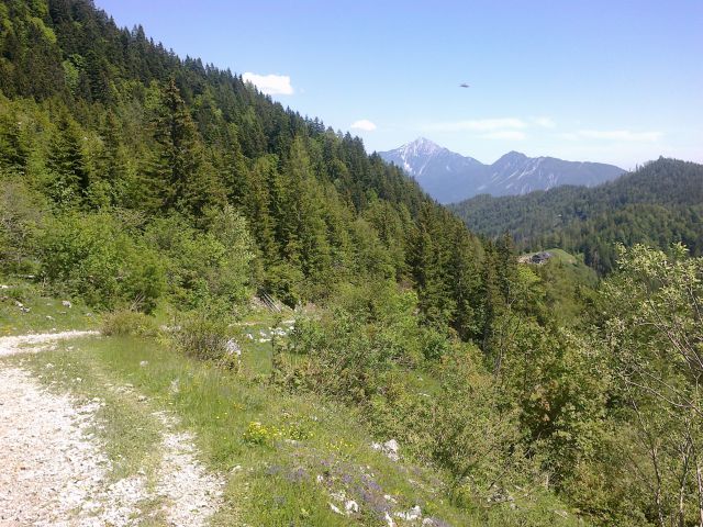 Pot proti Planini Preval ter razgled na Storžič, Tolsti vrh in Kriško goro