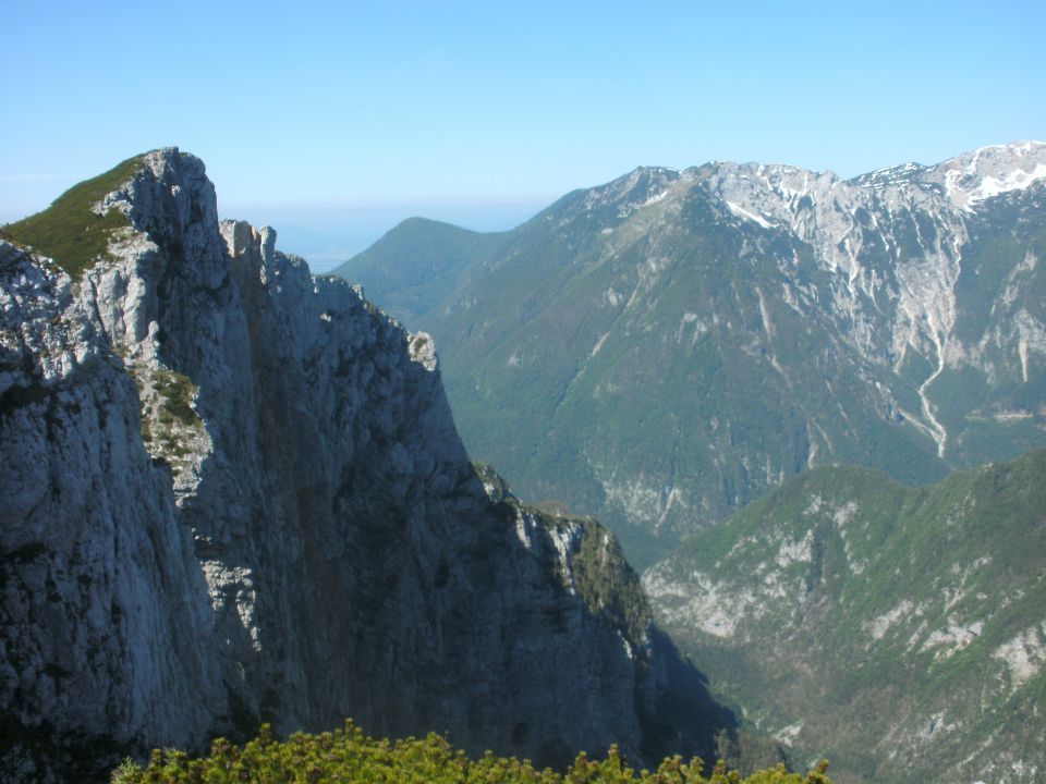 20140607 Rzenik,Konj,Pl.Konjščica - foto povečava