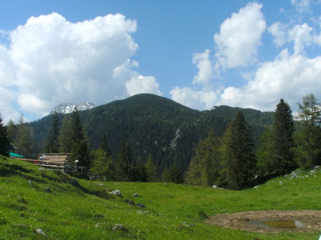 20140607 Rzenik,Konj,Pl.Konjščica - foto