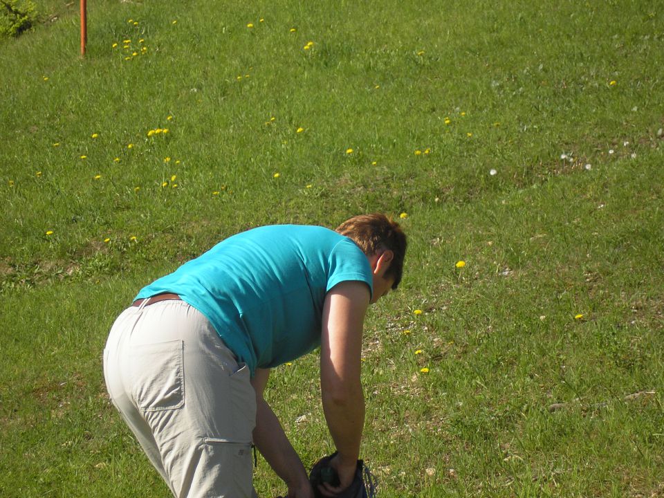 20140607 Višarje in Kamniti lovec - foto povečava