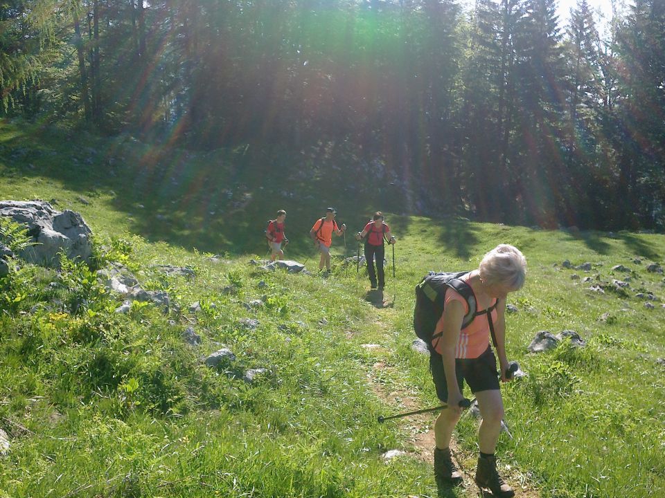 Pot proti Vrtaški planini