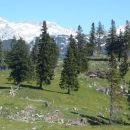 20140607 Velika planina