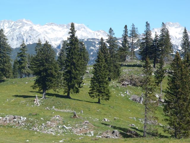 20140607 Velika planina - foto