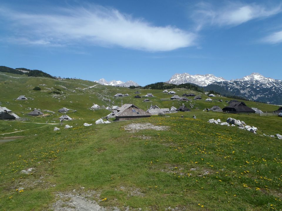 20140607 Velika planina - foto povečava