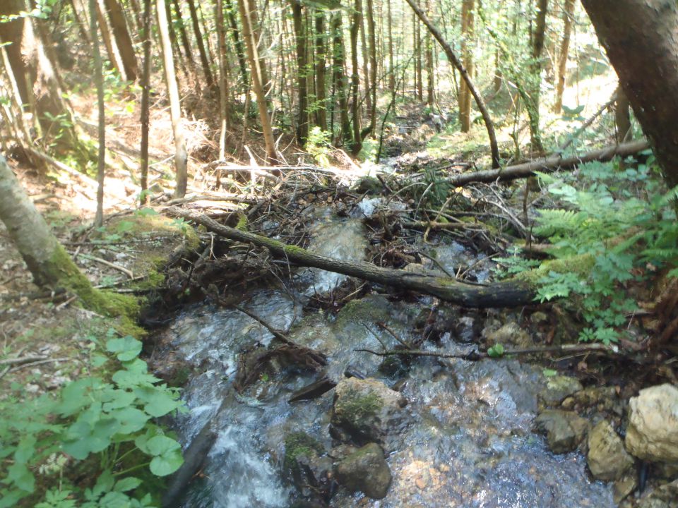 20140614 Dan slovenskih planincev - foto povečava