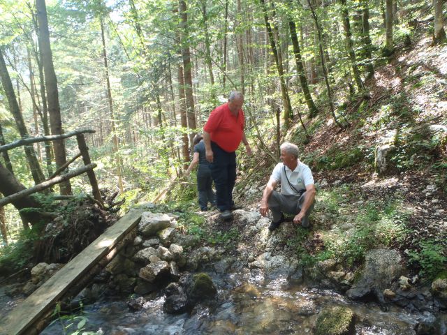 20140614 Dan slovenskih planincev - foto