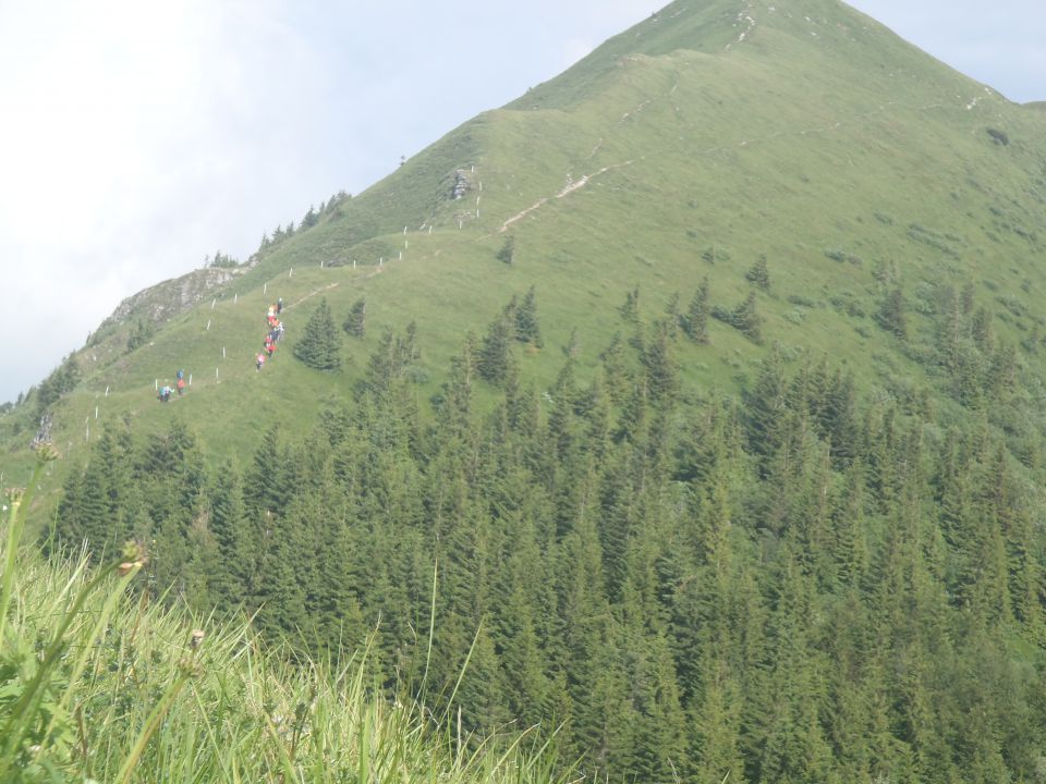 20140614 Dan slovenskih planincev - foto povečava