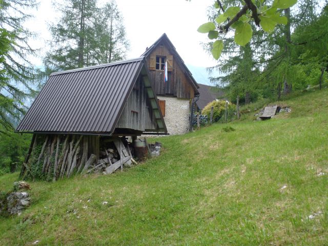 20140622 Pod Zjabci - Travnik -- brezpotje - foto