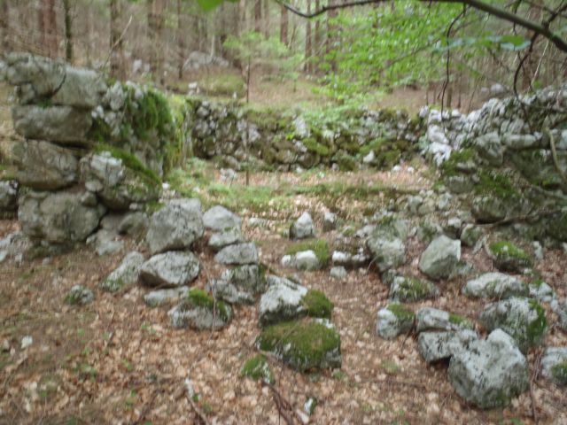 20140622 Pod Zjabci - Travnik -- brezpotje - foto