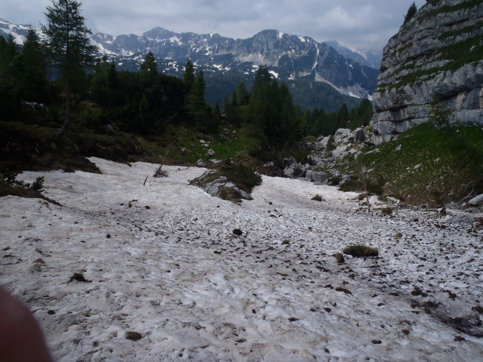 20140622 Pod Zjabci - Travnik -- brezpotje - foto povečava