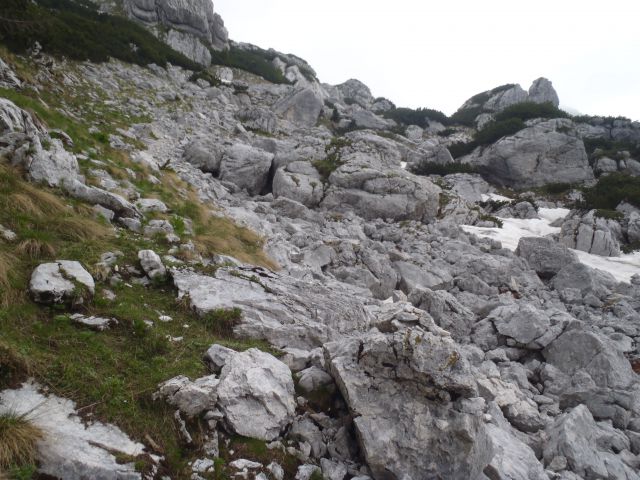 20140622 Pod Zjabci - Travnik -- brezpotje - foto