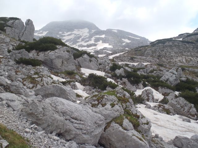 20140622 Pod Zjabci - Travnik -- brezpotje - foto