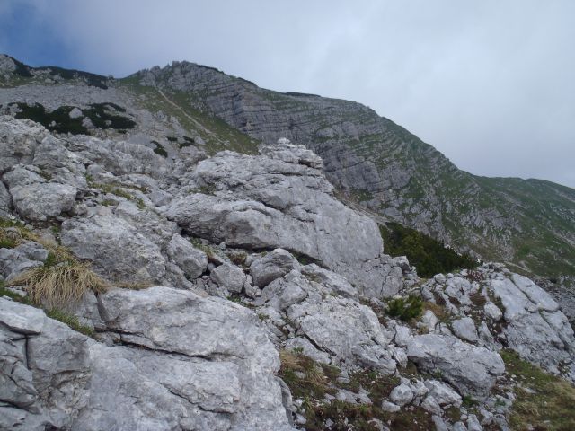 20140622 Pod Zjabci - Travnik -- brezpotje - foto