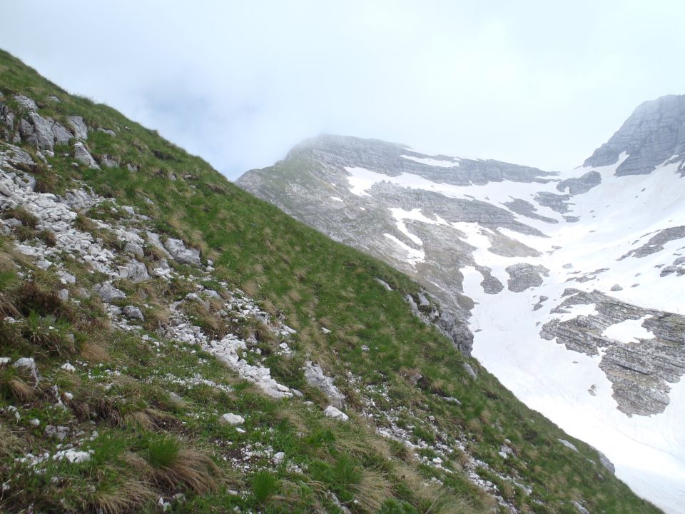 20140622 Pod Zjabci - Travnik -- brezpotje - foto povečava