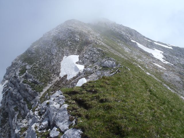 20140622 Pod Zjabci - Travnik -- brezpotje - foto