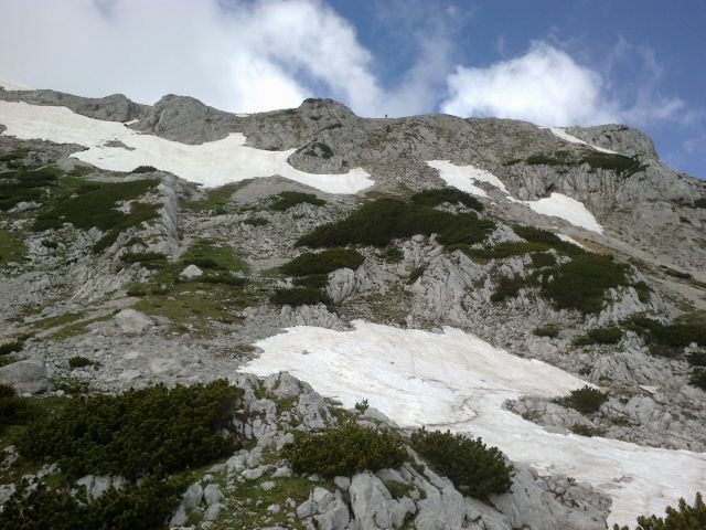 Pogled na našo nadaljnjo pot