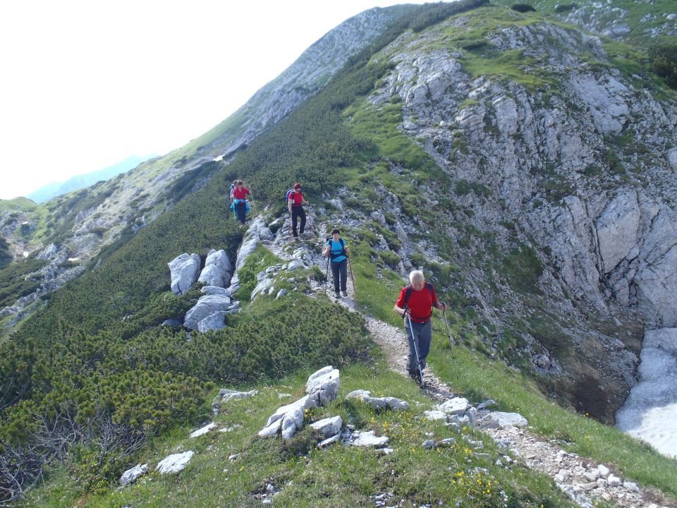 20140705 Vogel - 50 let Vogla - foto povečava