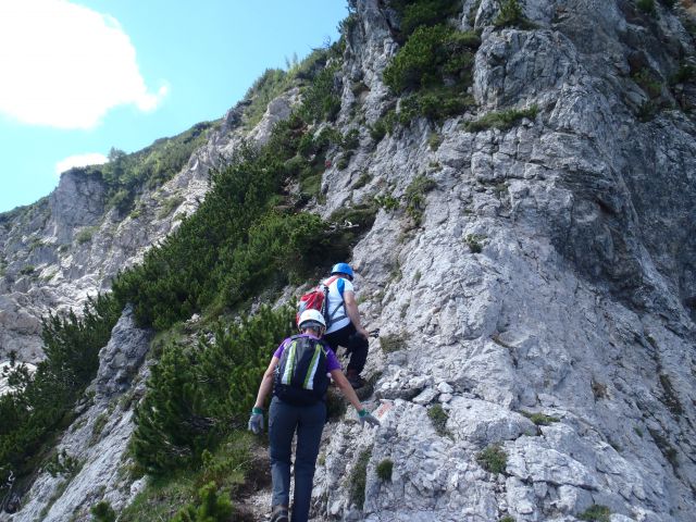 20140706 Kepa - Bertahütte-grebenska - foto