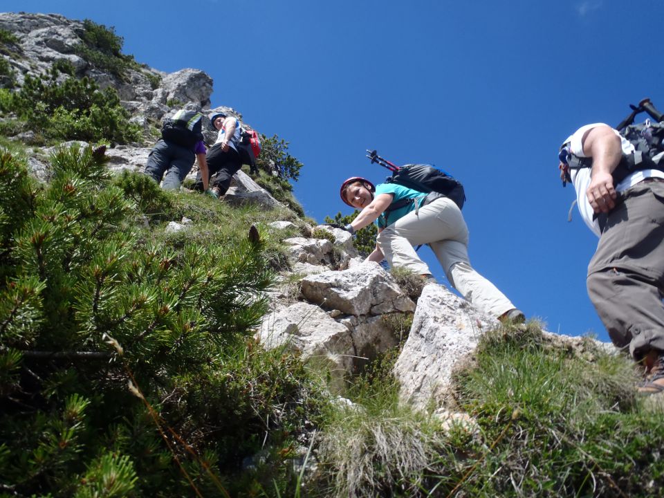 20140706 Kepa - Bertahütte-grebenska - foto povečava