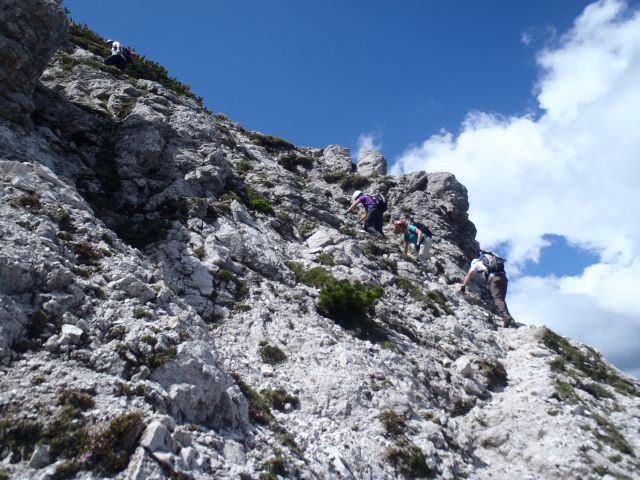 20140706 Kepa - Bertahütte-grebenska - foto