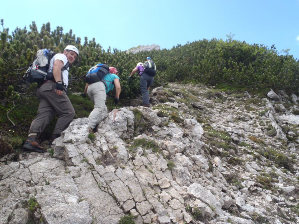 20140706 Kepa - Bertahütte-grebenska - foto povečava