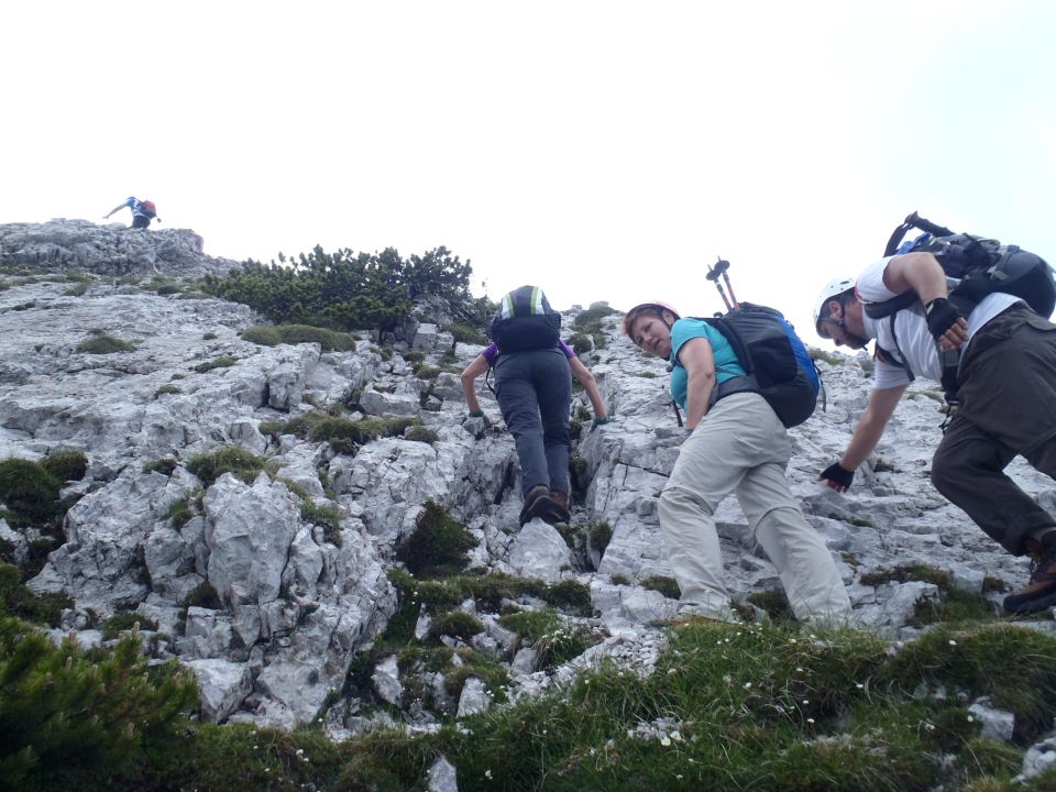 20140706 Kepa - Bertahütte-grebenska - foto povečava