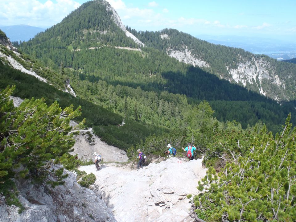 20140706 Kepa - Bertahütte-grebenska - foto povečava