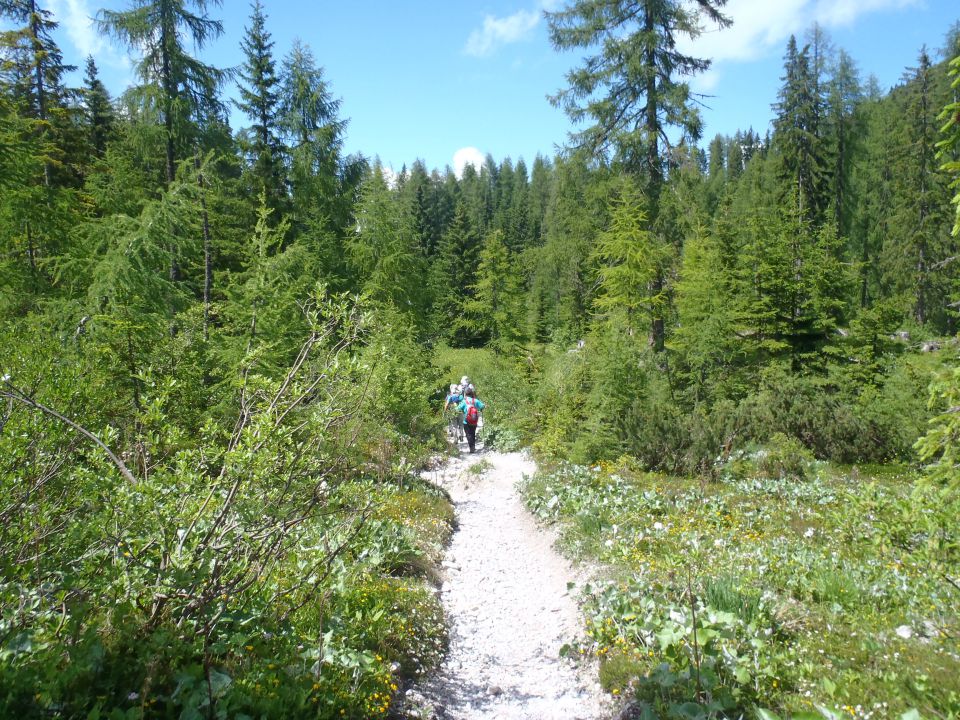 20140706 Kepa - Bertahütte-grebenska - foto povečava