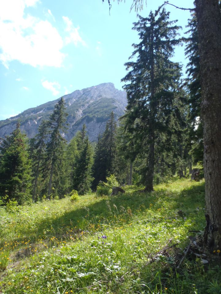 20140706 Kepa - Bertahütte-grebenska - foto povečava