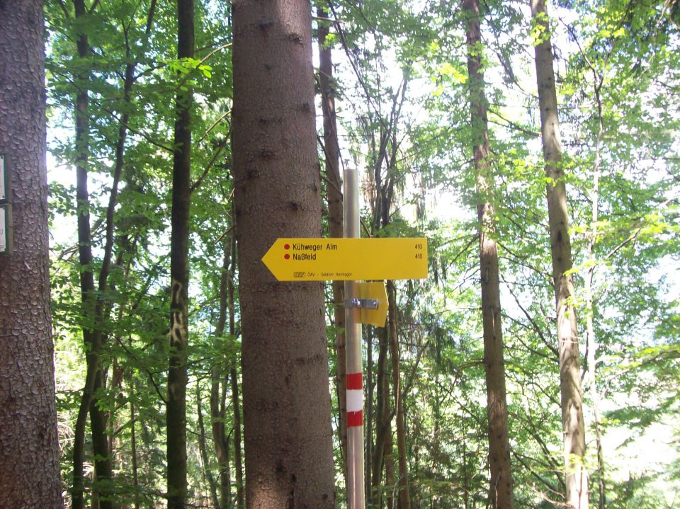 20140706 Soteska Karnitzenklamm - foto povečava