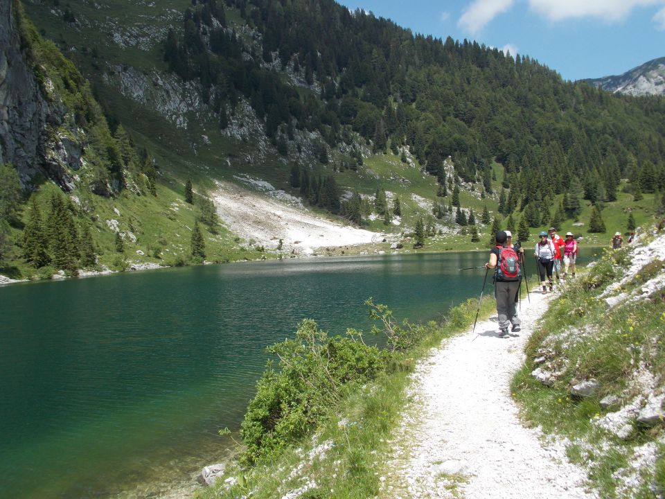 20140706 Lepena - Krn - Komna - foto povečava