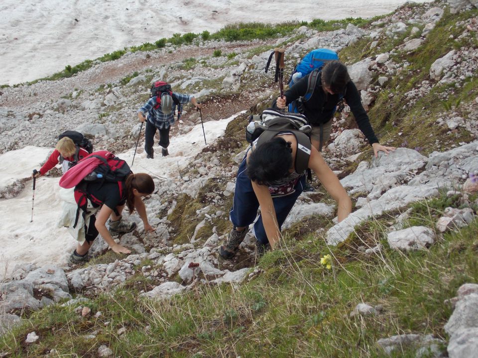 20140706 Lepena - Krn - Komna - foto povečava