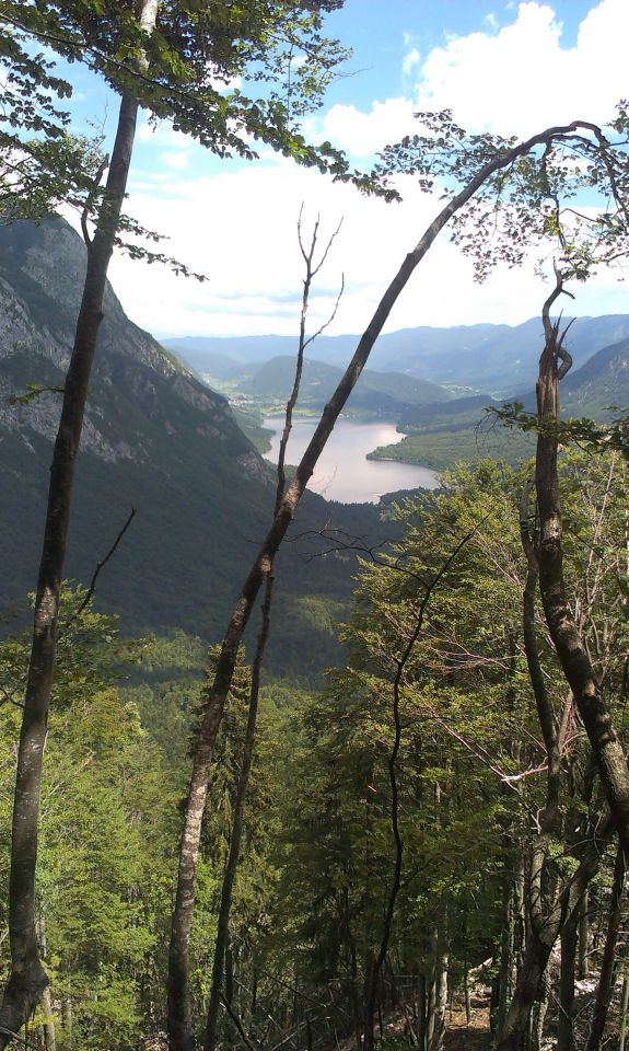 20140706 Lepena - Krn - Komna - foto povečava