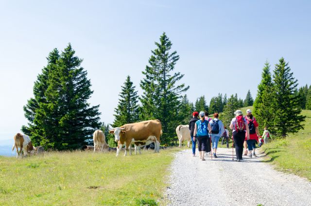 20140704 Velika planina - foto